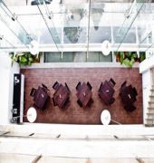 Temple Tree Studios Bangalore Exterior photo